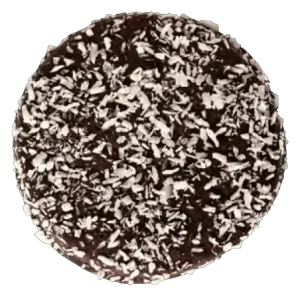 GalletaBioIntegralDigestiveconChocolate_Coco.Vegana7